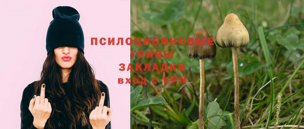2c-b Остров