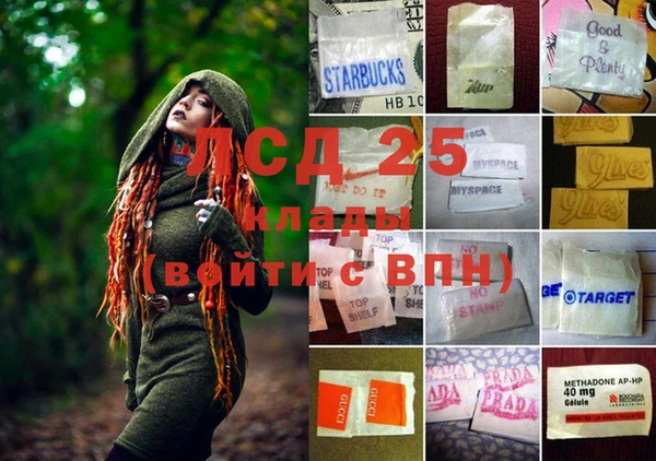 спиды Осинники