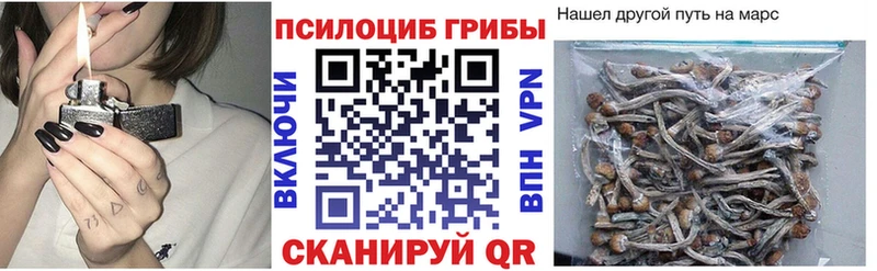 Галлюциногенные грибы Psilocybine cubensis  omg онион  Льгов 